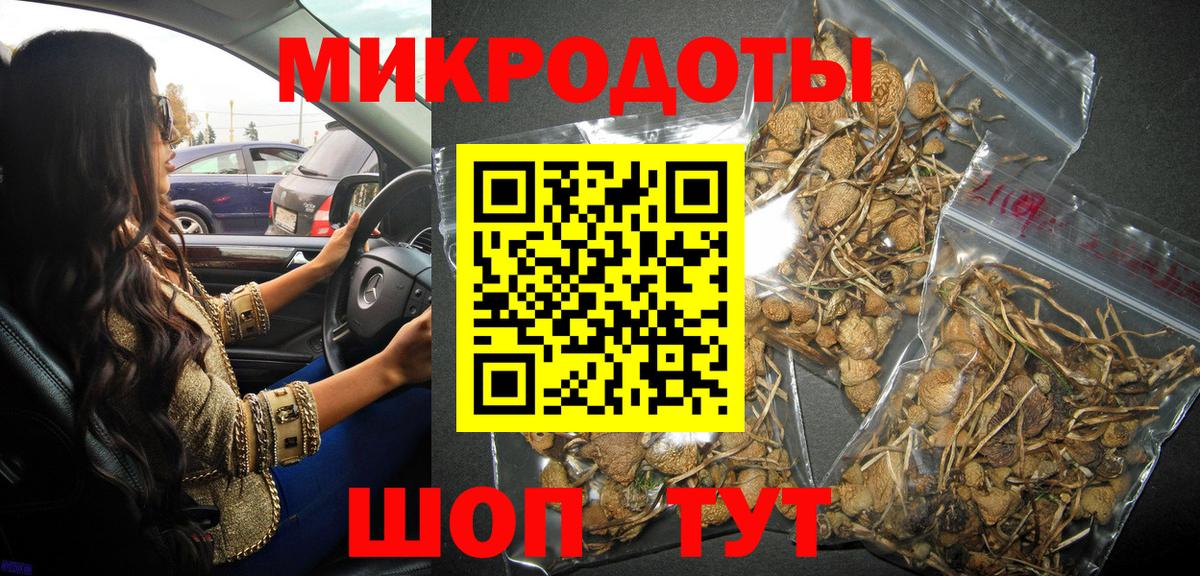 Галлюциногенные грибы Psilocybine cubensis  Галлюциногенные грибы Magic Shrooms  Нягань  Вход с VPN 